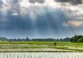 Thailand rijstvelden wolken