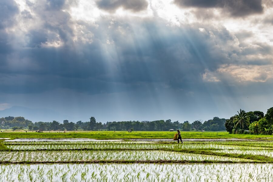 Thailand rijstvelden wolken